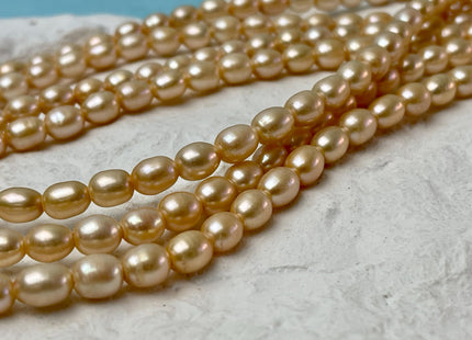 6.5-7x7-8 mm Large Hole Size 2.1 mm Rice/Oval Freshwater Pearls Beads Light Champagne Color #182
