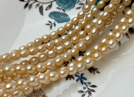 6.5-7x7-8 mm Large Hole Size 2.1 mm Rice/Oval Freshwater Pearls Beads Light Champagne Color #182