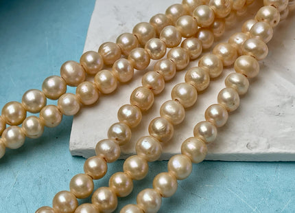 8 mm Large Hole Gold Champagne Color Semi Round Freshwater Pearl Beads Hole Size 2.2 mm Genuine Large Hole Freshwater Pearls #1895