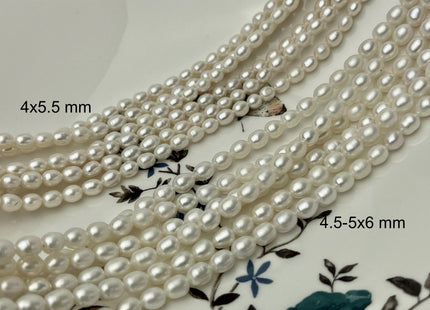 4-5x5-6 mm AA Natural White Rice/Oval Freshwater Pearl Genuine Natural Small White Pearl Beads #P2852