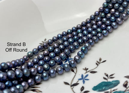 7-7.5mm AAA Blue Rainbow Peacock Off Round Freshwater Pearls Genuine Very Rare High Luster Peacock Pearls #P2840