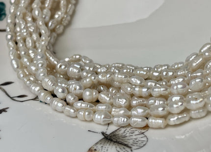 5x6-8mm Natural White Keshi Rice Nugget Freshwater Pearl Beads Genuine Freshwater Tiny Keshi Nugget Pearls B Grade #P2938