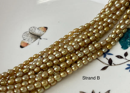4x5 mm AA High Luster Dark Gold Champagne Color Rice/Oval Freshwater Pearl Beads Genuine Tiny Freshwater Pearl Beads #P3012