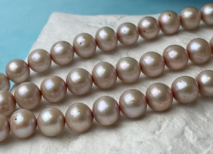 9-9.5 mm AA Light Beige Champagne Off Round Freshwater Pearl Beads Genuine Pearl Beads Light Champagne Freshwater Pearls 45 Beads #P3045