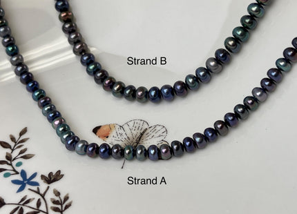 5-6 mm AAA High Luster Peacock Button Freshwater Pearl Genuine Peacock Freshwater Pearls High Luster Peacock Button Pearl #P3090