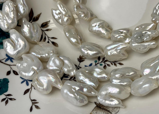 13-18x18-25 mm AA Very Rare Natural White Keshi Biwa Freshwater Pearls Genuine Super High Luster Irregular Biwa Keshi Pearl Beads #P3098