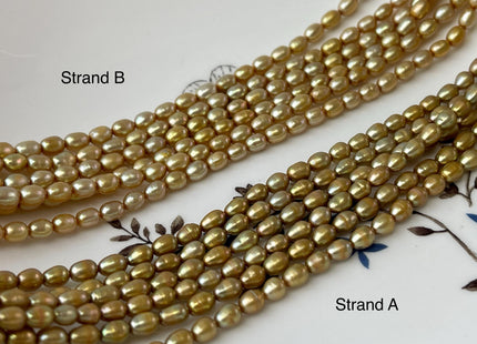 4x5 mm AA High Luster Dark Gold Champagne Color Rice/Oval Freshwater Pearl Beads Genuine Tiny Freshwater Pearl Beads #P3012