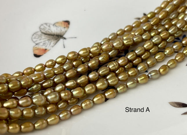 4x5 mm AA High Luster Dark Gold Champagne Color Rice/Oval Freshwater Pearl Beads Genuine Tiny Freshwater Pearl Beads #P3012