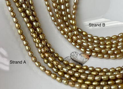 4x5 mm AA High Luster Dark Gold Champagne Color Rice/Oval Freshwater Pearl Beads Genuine Tiny Freshwater Pearl Beads #P3012