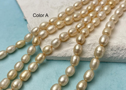6x8-10 mm AAA Champagne Color Freshwater Pearls Long Rice/Oval Shape Pearl Beads Genuine High Quality Freshwater Pearls. #1680