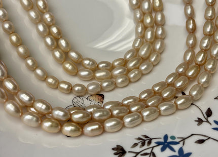 6x8-10 mm AAA Champagne Color Freshwater Pearls Long Rice/Oval Shape Pearl Beads Genuine High Quality Freshwater Pearls. #1680