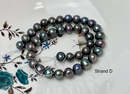 10-13 mm AA Rainbow Peacock Semi Round Potato Freshwater Pearls Genuine Very Rare High Luster Peacock Pearl Beads #P3099