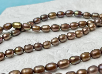 4-4.5x5-6 mm AAA Copper Brown Green Champagne Color Freshwater Rice/Oval Pearls Genuine High Luster Freshwater Rice Pearls 71 Beads #P3349