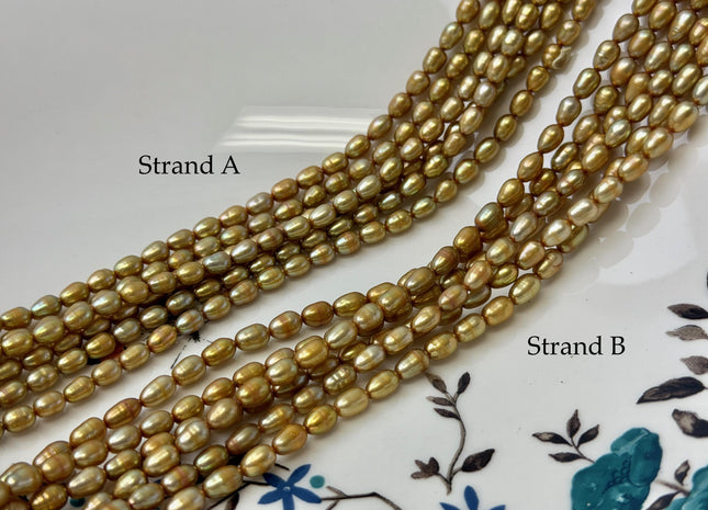 4x5-7 mm AA High Luster Gold Color Tiny Rice Freshwater Pearl 15.5 Inches Strand #P3423