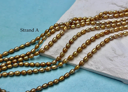4x5-7 mm AA High Luster Gold Color Tiny Rice Freshwater Pearl 15.5 Inches Strand #P3423