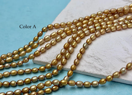 4x5-6 mm High Luster Gold Color Tiny Rice Freshwater Pearl 15.5 Inches Strand #P3425