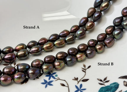 9-10x10-14mm Dark Brown Metallic Peacock Color Freshwater Rice/Oval Pearl Beads #P3405