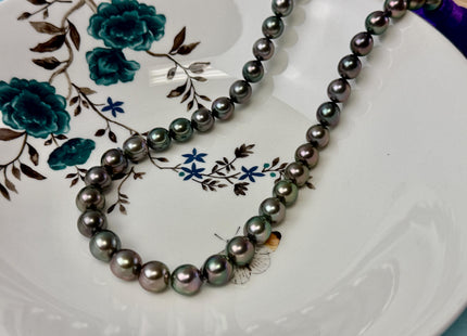 9-11 mm AAAAA Very Rare Round South Sea Tahitian Black Pearls Top Quality Tahitian #P3409