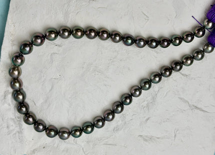 9-11 mm AAAAA Very Rare Round South Sea Tahitian Black Pearls Top Quality Tahitian #P3409