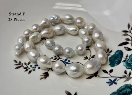 One-Of-A-Kind 9-13x11-19 mm Jumbo Size Baroque Freshwater Pearl Beads Genuine Natural White Freshwater Edison Baroque Pearls #P3371