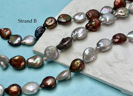 10-13.5 mm Mixed Gray Brown Gold Peacock Color Coin Freshwater Pearls 15.5 Inches Strand #P3419