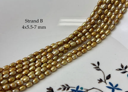 4x5-7 mm AA High Luster Gold Color Tiny Rice Freshwater Pearl 15.5 Inches Strand #P3423