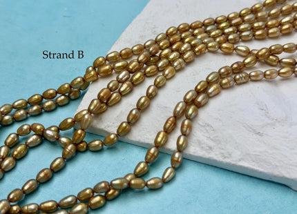 4x5-7 mm AA High Luster Gold Color Tiny Rice Freshwater Pearl 15.5 Inches Strand #P3423