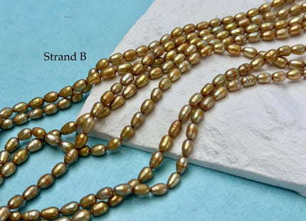 4x5-7 mm AA High Luster Gold Color Tiny Rice Freshwater Pearl 15.5 Inches Strand #P3423