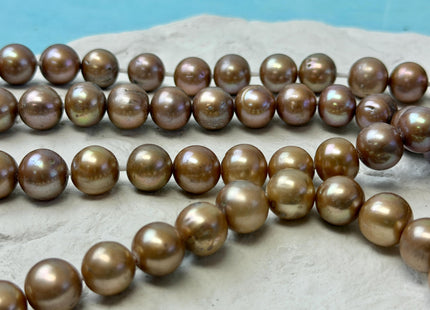 10mm AAA Large Hole Off Round Champagne Beige Freshwater Pearl Beads Hole Size 1.5mm 2.2mm Genuine High Luster Pearls 40 Beads #P2240