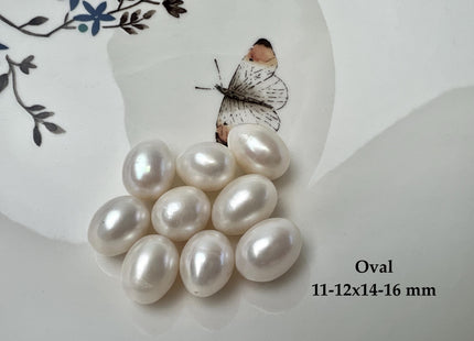 One Piece AAA 9.5-10x12-14 mm Top Quality High Luster Tear Drop Half Drilled Freshwater Pearl Genuine Natural White Freshwater Pearls #1638