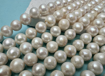 10-11 mm Natural White Round Edison Freshwater Pearl Beads C Grade #P3732