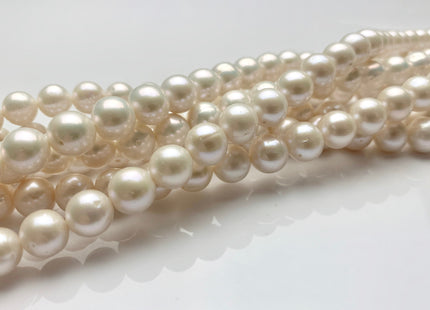 WHOLESALE 7-7.5 mm AAA Natural White Semi Round Freshwater Pearl Beads Genuine High Luster White Cultured Freshwater Pearls #1648