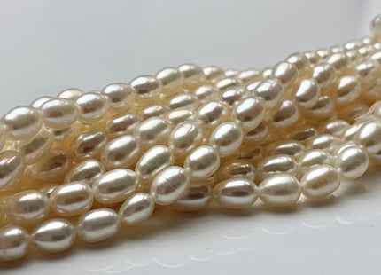 WHOLESALE 4.5-5 x 6.5-7 mm AAA Natural White Rice Freshwater Pearl Genuine High Luster Pearl Beads Bridal Pearls Wholesale Pearls #83