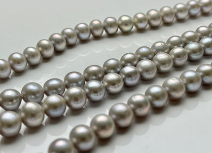 8-8.5 mm AAA Gray Semi-Round Freshwater Pearls Genuine Smooth And Round Pearl Beads High Luster Pinkish Gray Color Freshwater Pearls  #535