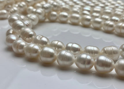 WHOLESALE 10x12 mm Natural White Rice/Oval Ringed Freshwater Pearl Beads Genuine Natural White Freshwater Pearls  #301