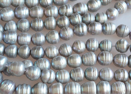 12-14 mm Large Hole Ringed Silver Gray Freshwater Pearl Beads, 2 mm Hole, Large Hole Genuine Cultured Freshwater Pearls #157